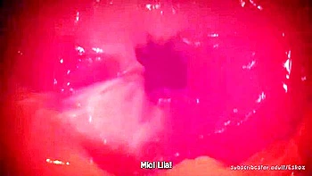 Devils Cookie Ending Iii (warning, Vore) videos