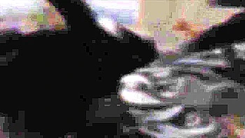 Gangbang Bunny videos