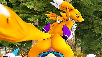 Renamon And Lucario videos