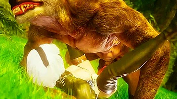 Fun In The Woods videos