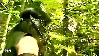 2 Norwegian Mistresses Dominate A Kinky Slave videos