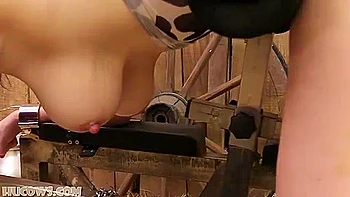 Anc1lla Red Cow Milker videos