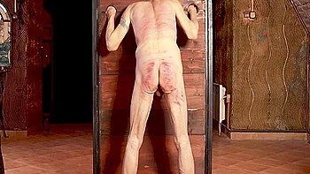 Locked To Stocks videos