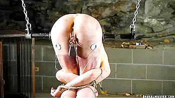 Greyhound Ring The Bell videos