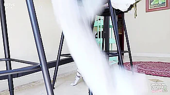 The beautiful colleague who came to my door videos