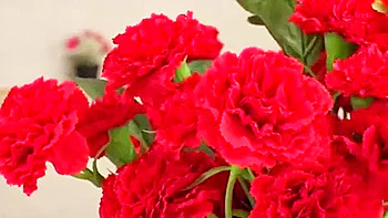 08158,Naughty porn with guys and girls videos