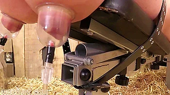 Cindy Dollar In Teat Training videos