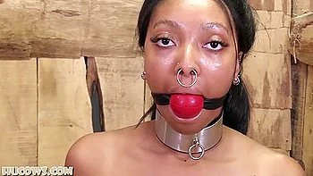 Thiccy Niccy Pump Training videos