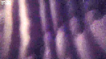 Cutie Bondage videos