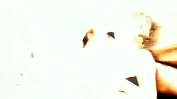 The Seduction Of videos