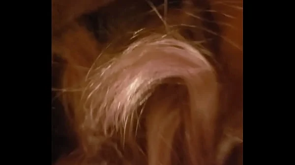 Hubby's friend has fun with sharing milfJucee Hotwife. videos
