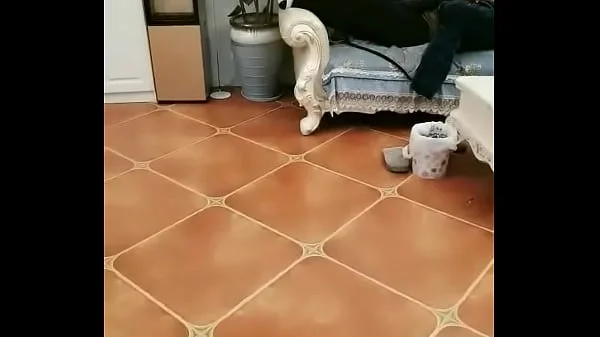 Chinese girl using chair legs as dildo videos