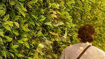 Magnificent And Lou Lous Big Cock Video With Loulou Petite And Christine Love videos