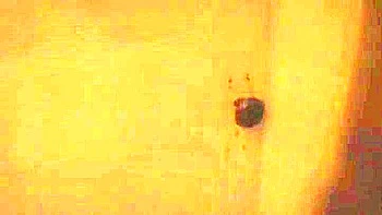 Crazy Japanese chick Saori Hara in Horny Compilation JAV video videos