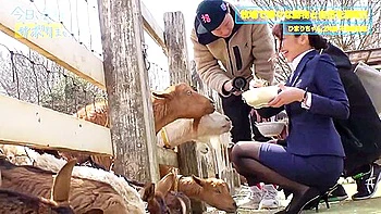 浮気な彼氏を忘れて仕事サボり旅のひまりちゃん videos