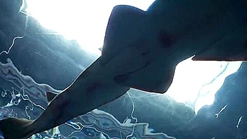 エキゾチックな日本のモデルAkubi Asakaraが最高の巨乳、フェラチオのJavクリップで videos