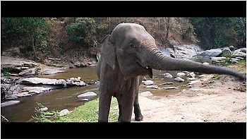 Quiet Chiang Mai - Lunas Journey (episode 48) videos