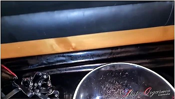 Dog Prepairing Pussy Hair And A Soacked String For A User videos