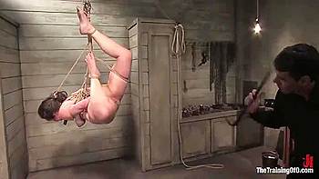 The Training Of Charlotte Vale, Day Two videos