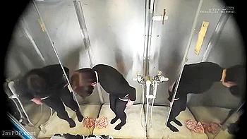 20241206女子大生がエロツイスターa4 videos