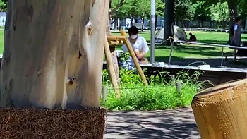 x5xDE695FCA825CBB36CB videos