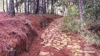 Yenifer Chacon - Sucking And Fucking In The Woods videos