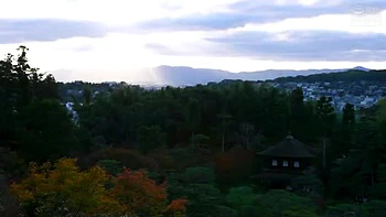 XRX003-XMPNZDCEAQ975926116 videos