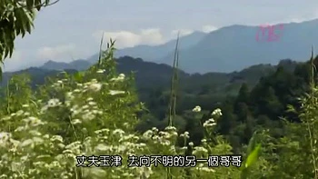 HBN546-TIGLWEAJHN218347749 videos