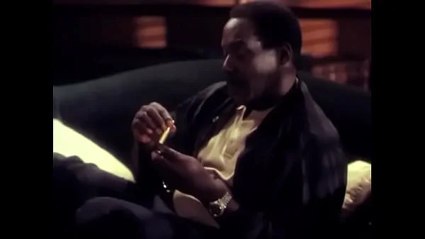 Body of Influence (1993) videos