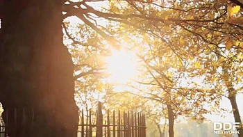 Wishful Dreaming: Horny Lesbians' Pussy Desires videos