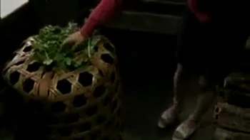 06528,Woman writhing in lewd play videos