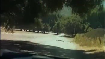 Selen - Selvaggia (1) videos