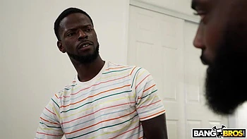 Lily Has Four Hands And Three Legs videos