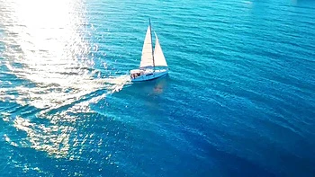 Miss Alice Wild tames the pack... - Jacquie et Michel TV videos