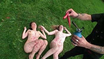 Humiliating dominating spanking in the farm videos