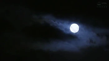 x1xF0DA5C675CEEBDA933 videos