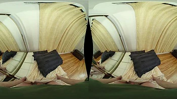 Sheesh: Blowjob, Doggy  Cowgirl VR Porn videos