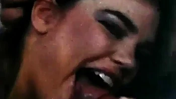 Stacey Donovan  Golden Girls and Seductress Films 1984  Compilation ft. Tom Byron, Greg Rome, Craig Roberts  Marc Wallice: Porn videos