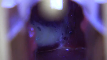 Asian Angel 17419 videos