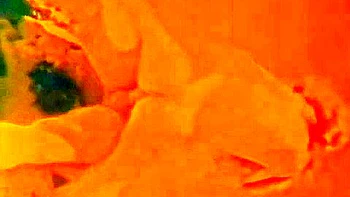 Greater Quantity Than A - 1973 videos