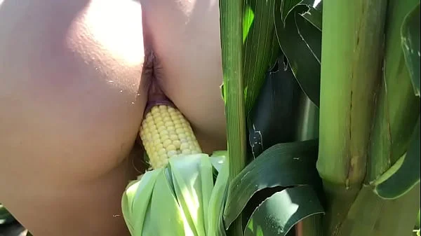 Riley Jacobs playing in corn field videos