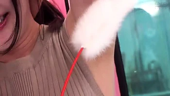 HAXFKHSICLTRSEPPML50DVMM319 videos