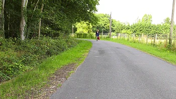 Orgy In The Garden videos