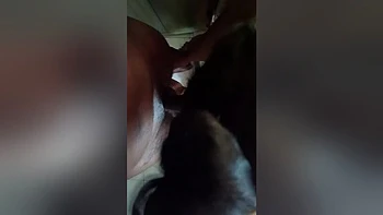 Wife Blow Job At Bathroom videos