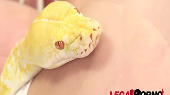 Nikita Belucci 3 on 1 Porno SZ34 videos