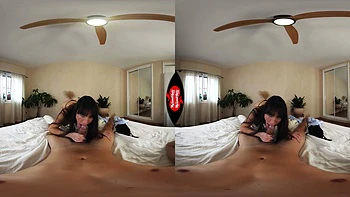 The Morning After Our Business Meeting videos