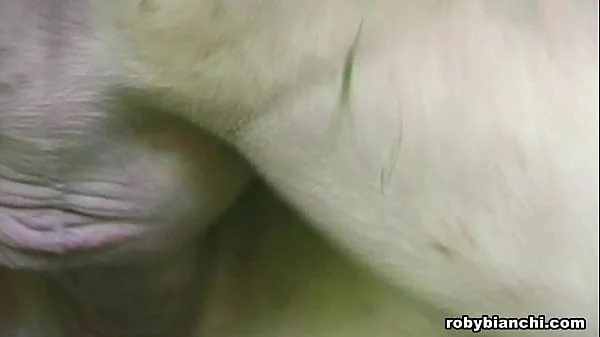 Beautiful slut with big natural tits takes a big cock in her ass videos