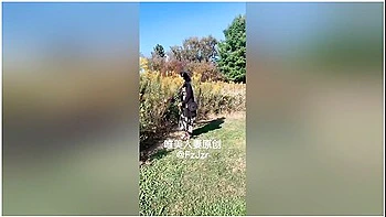 Asian Chinese videos