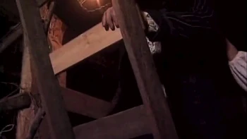 The Country Lady Doggside In The Barn Enjoys A Nice Cock With Attila Schuster videos