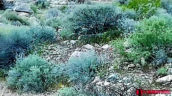 Skinny In The Desert videos